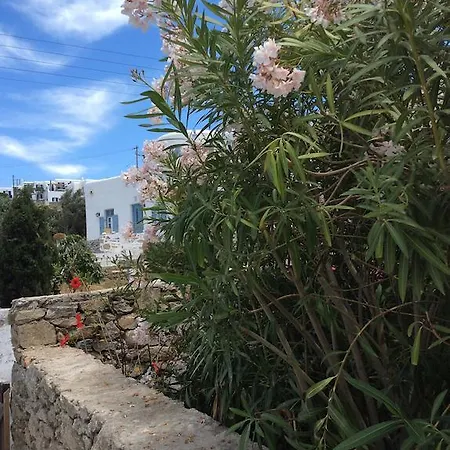 أولمبيا شقة فندقية